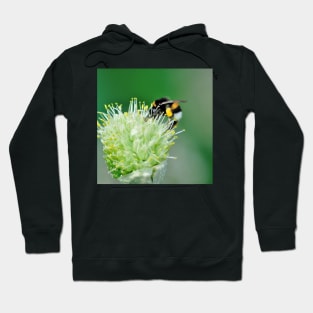 Bee Flower Nectar Hoodie